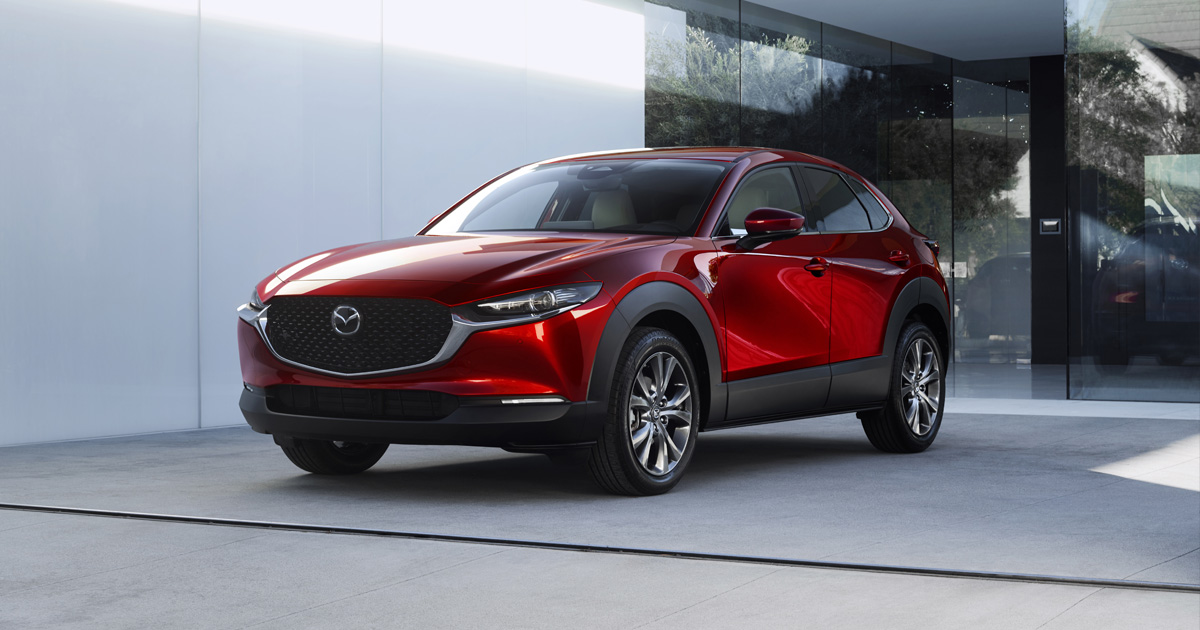 RUIYA Kompatibel für Mazda CX-30 2019-2023 Antirutschmatten, Auto Innere  Türschlitz Arm Box Aufbewahrung Matten für Mazda CX-30 Auto Zubehör (Rot)