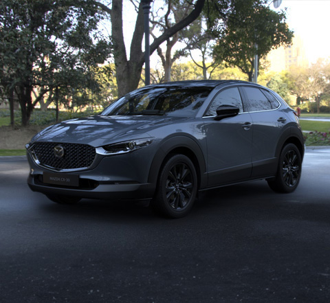 Profile view of the Mazda CX-30 in Polymetal Grey