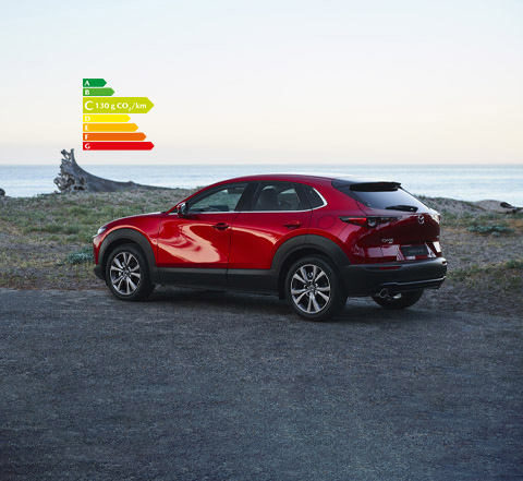 Mazda CX-30 stationné au bord d’une plage.